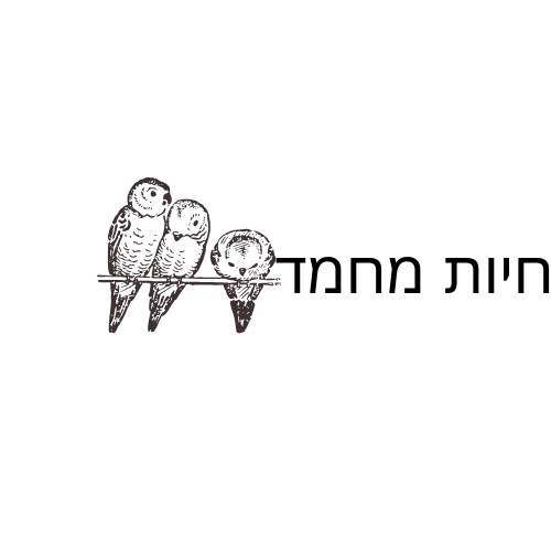 דברים לחיות מחמד ועוד..